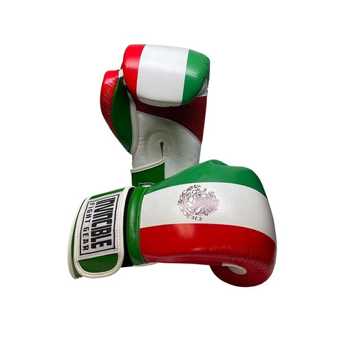 Invincible Fight Gear Standard Hook and Loop Leather Training Boxing