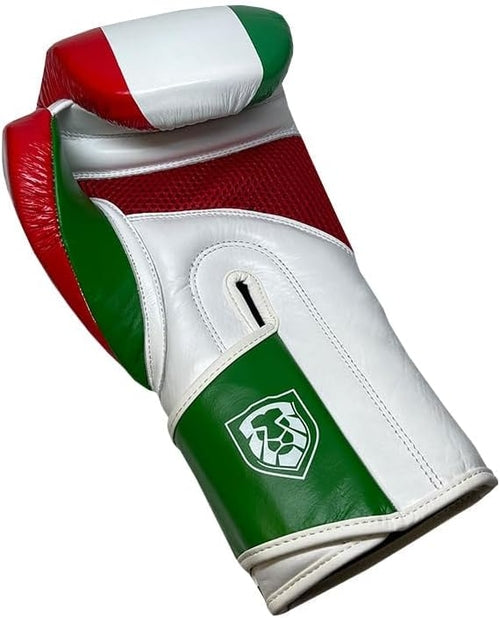 Invincible Fight Gear Standard Hook and Loop Leather Training Boxing