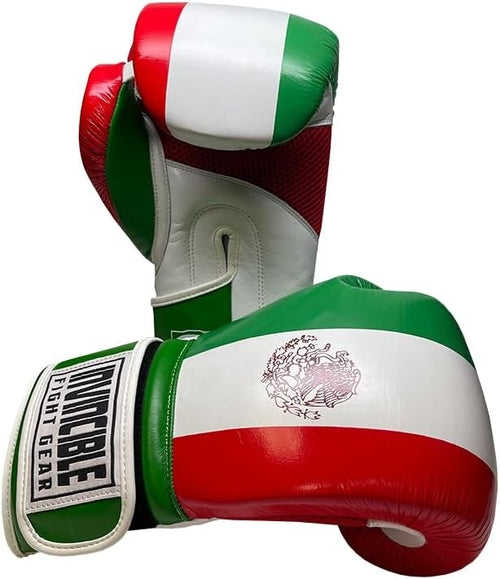 Invincible Fight Gear Standard Hook and Loop Leather Training Boxing