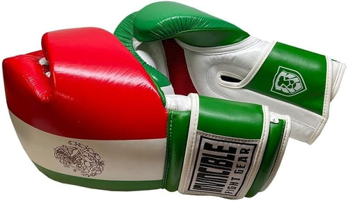 Invincible Fight Gear Standard Hook and Loop Leather Training Boxing