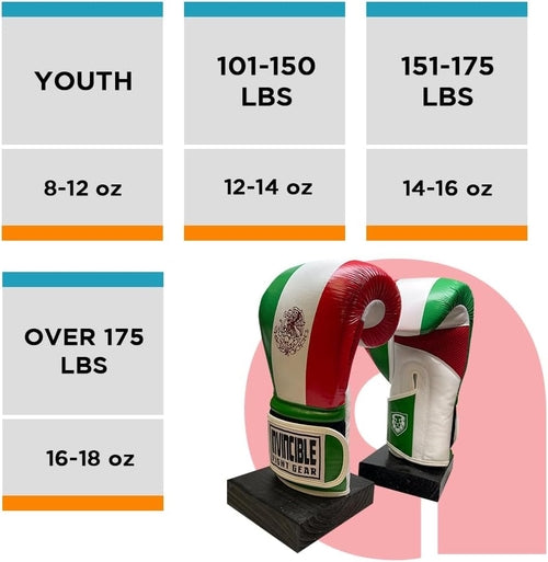 Invincible Fight Gear Standard Hook and Loop Leather Training Boxing